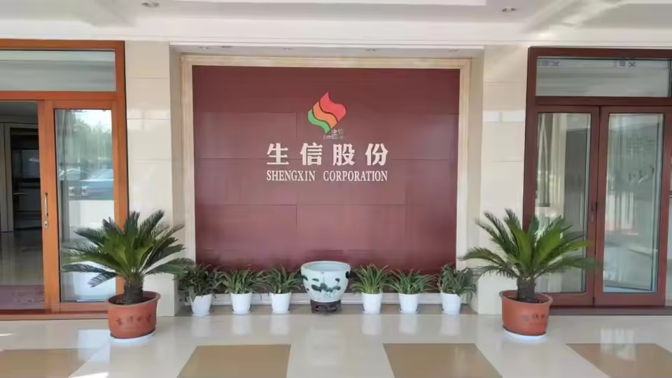 China ANHUI SHENGXIN  CORPORATION LIMITED company profile