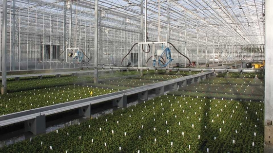 Greenhouse Aluminium Profile with Ten and High Precision Punching Processing Service